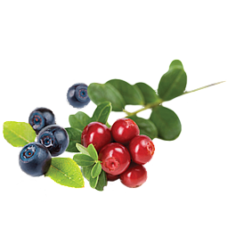 berries